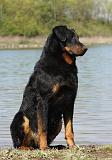 BEAUCERON 652